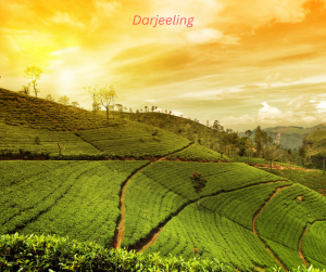 Darjeeling